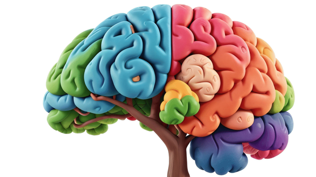 A colorful Clay model of the human brain on a wooden stand ALS Brain Hero image 01png